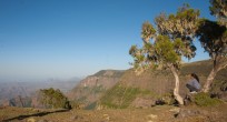 Wildlife-Observations-Worldwide-Ethiopia-Djelada_007