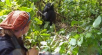 Kieke and Mountain Gorilla - Uganda