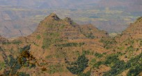 Wildlife-Observations-Worldwide_Ethiopia_Mountains_003